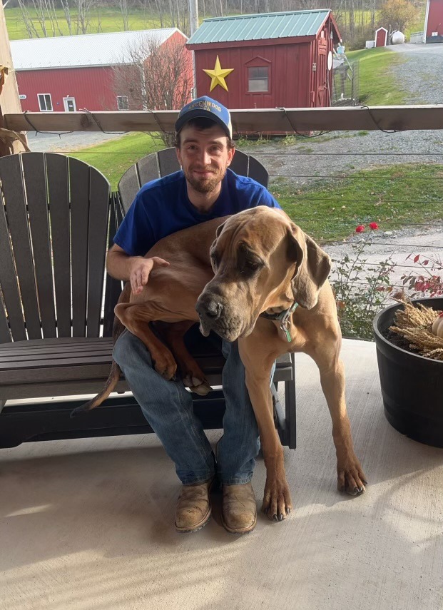 Man sitting on a porch holding a large Great Dane dog, with a red barn and green landscape in the background.