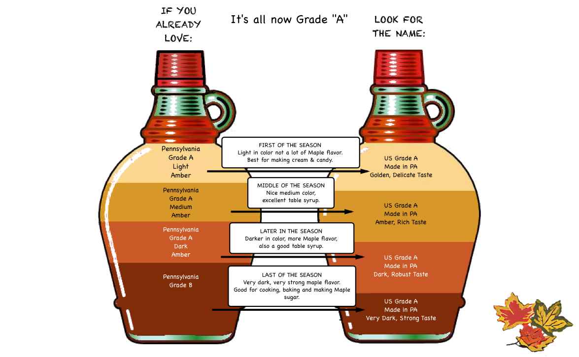 Infographic comparing different grades of Pennsylvania maple syrup, highlighting flavors and colors from Light Amber to Very Dark, along with seasonal recommendations for use.